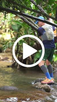 BIB:  <button type="button" onclick="openModal(27825871)" class="btn btn-primary btn-sm float-right" data-toggle="modal" data-target=".modal-high-quality">
                <i class="fa fa-download"></i> Download
                </button>